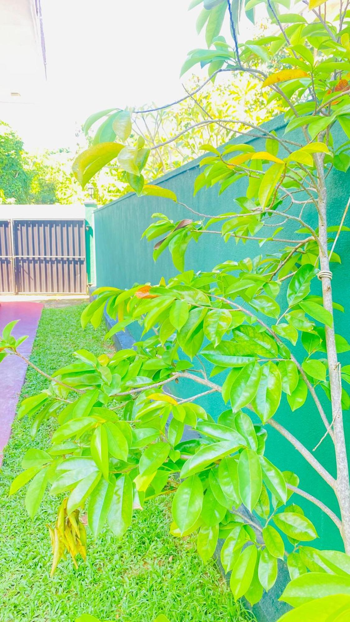 Sanasuma Villa Bentota Exterior photo